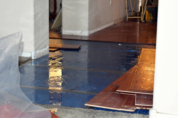 Professional Burst Pipe Cleanup technician working in Allendale, CA